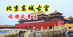 非洲黑人胖逼骚逼抠黄色视频中国北京-东城古宫旅游风景区